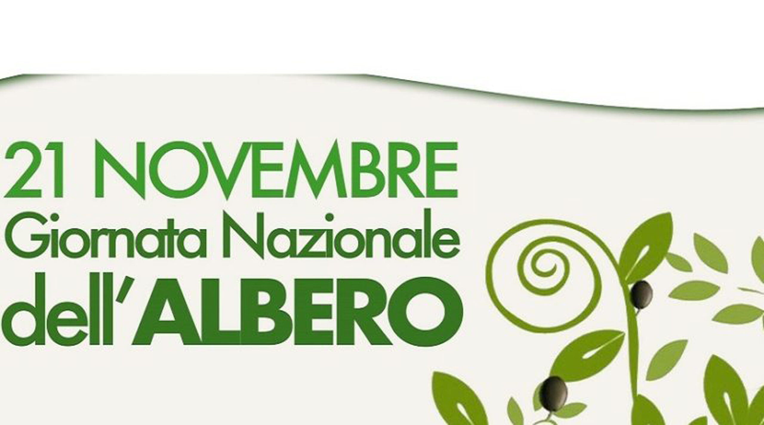 Lalbero strumento contro i cambiamenti climatici L Identità