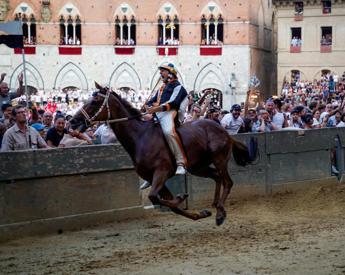 Palio di Siena trionfo Lupa chi è Velluto il fantino che ha vinto