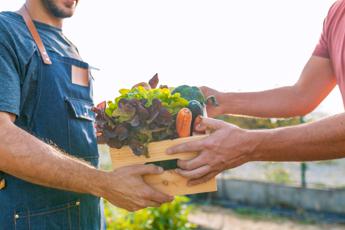 Trump annuncia: “Dazi sui prodotti agricoli”, l’Italia rischia grosso