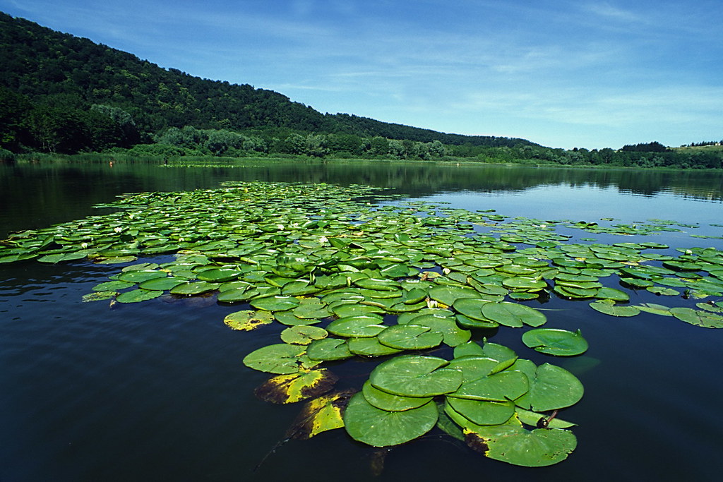 I Laghi di Monticchio, tra natura e spiritualità