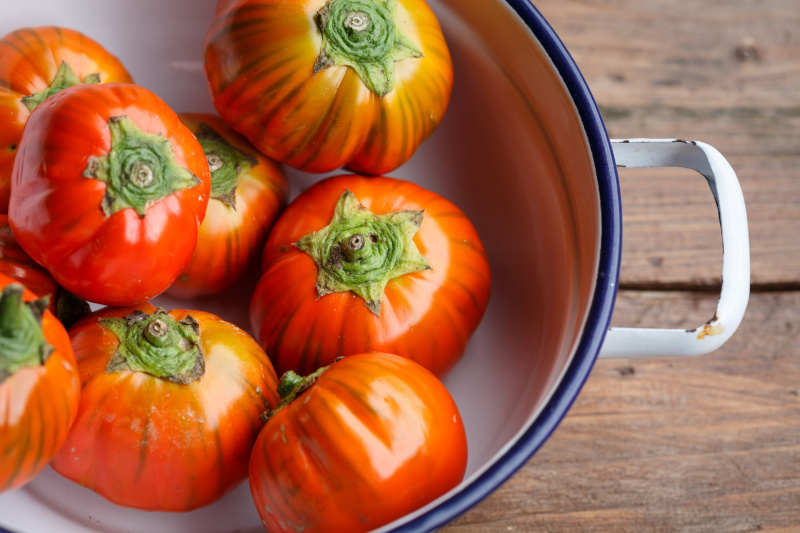 REGIONI IN TAVOLA/BASILICATA – Le melanzane rosse di Rotonda DOP