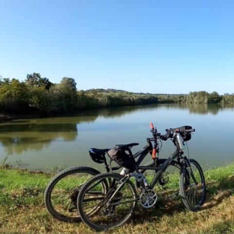 Tutti in bici sulle colline torinesi