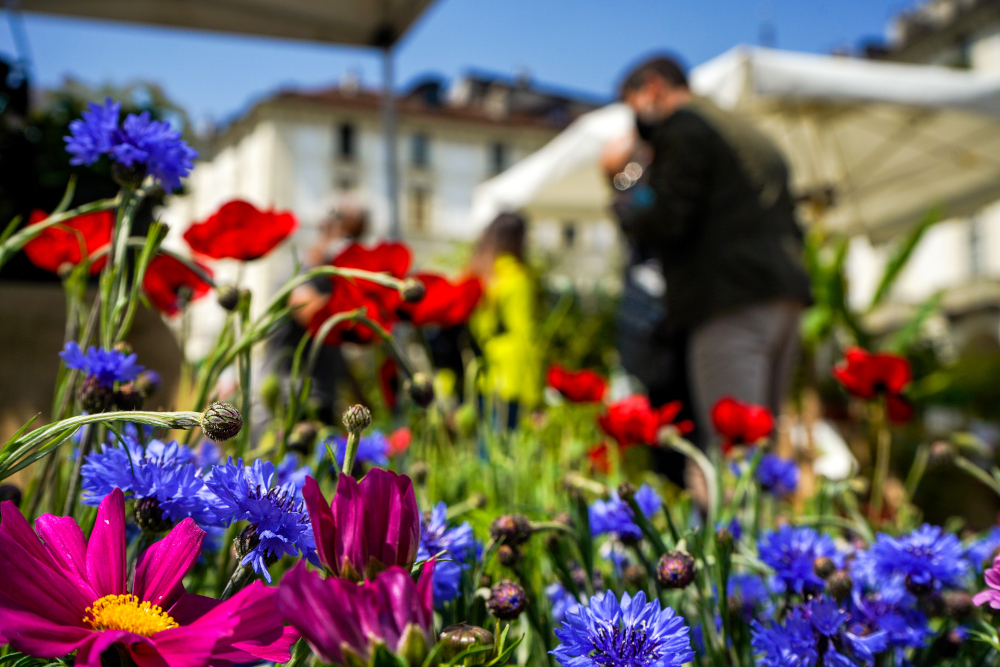 Agriflor torna in piazza Vittorio con fiori ed eccellenze agroalimentari