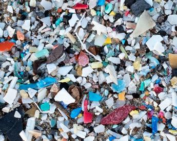 Microplastiche anche