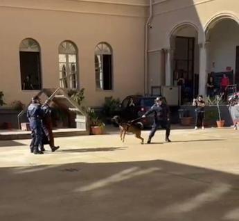 Palermo, spari a salve a scuola davanti ai bambini: è polemica