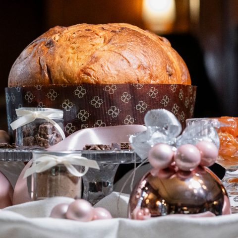 Panettone? Sì, ma “PanCricri” con farina di grilli