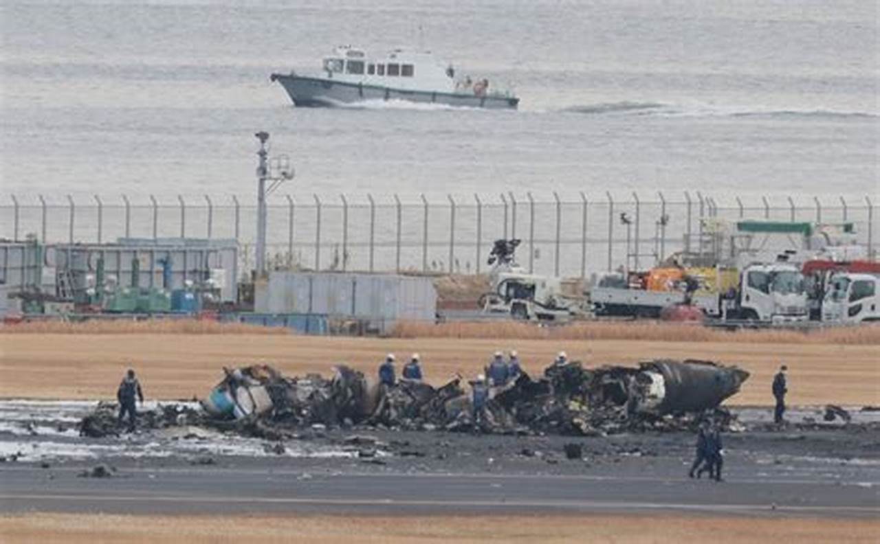 Tragico incidente Aereo in Corea del Sud: 127 morti e 2 sopravvissuti. Ipotesi di Collisione con Uccelli