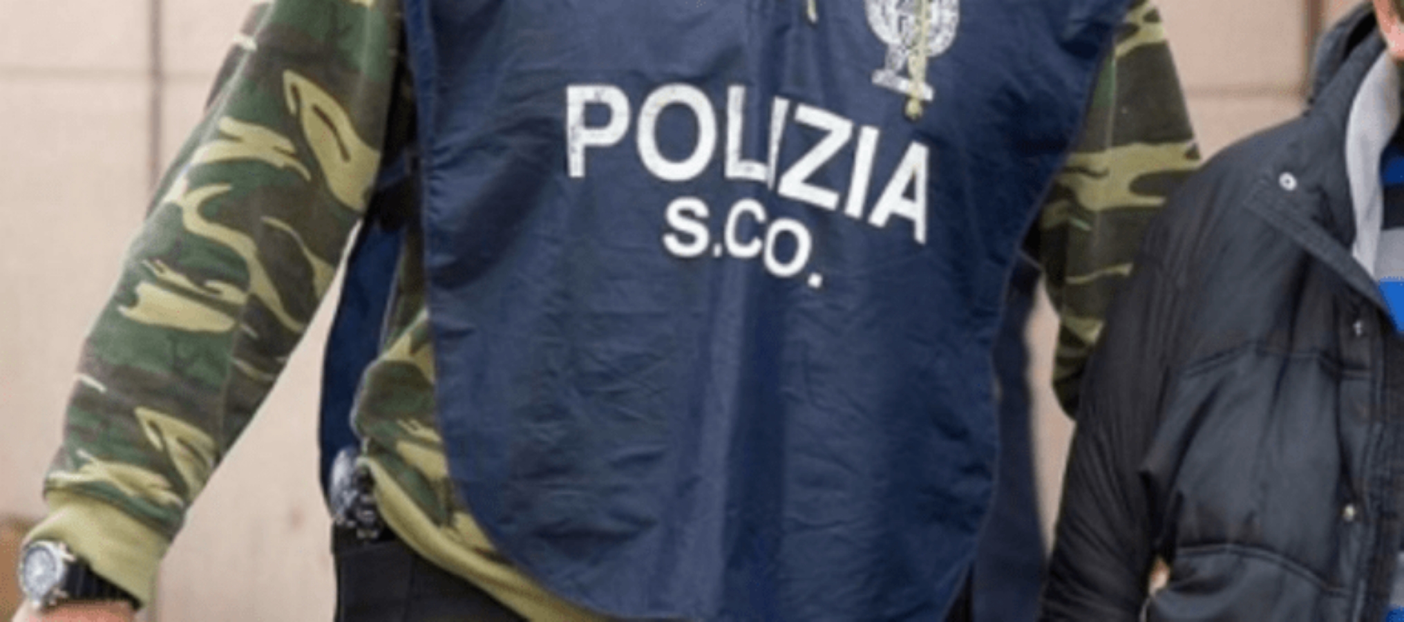 Werwolf Division: dodici arresti tra i “lupi mannari” neonazisti